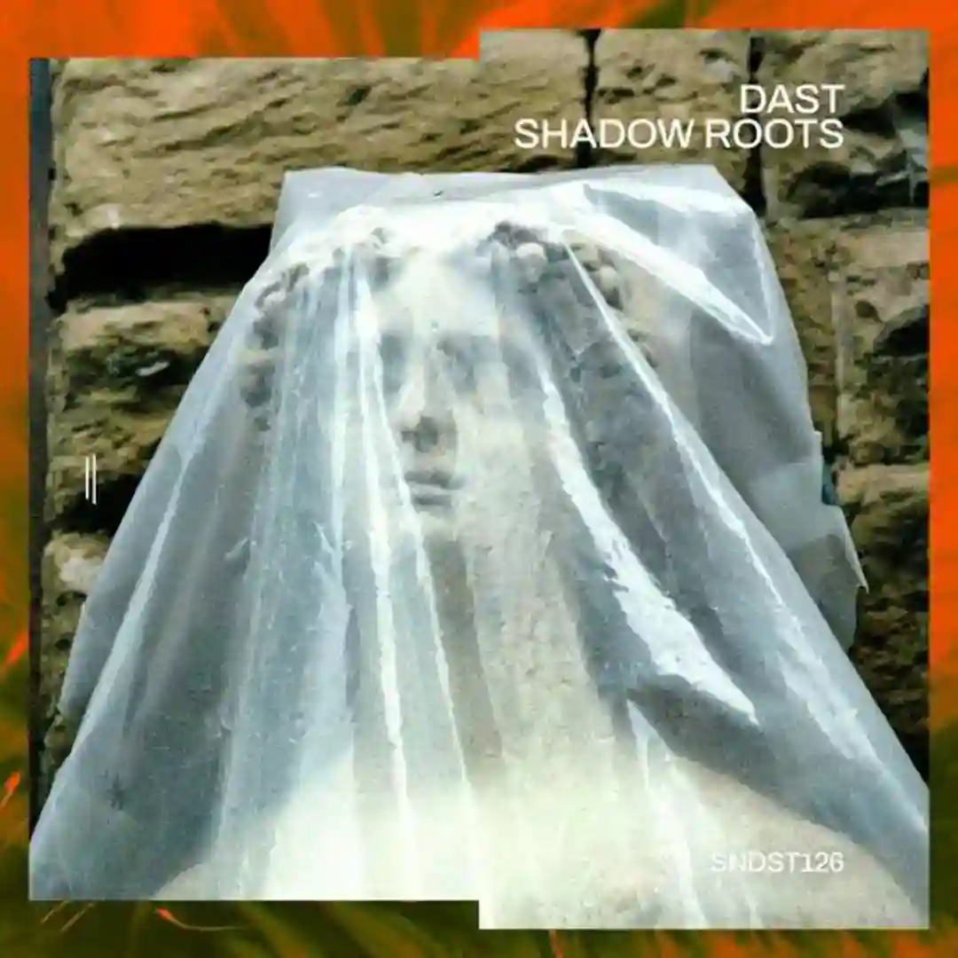Shadow Roots cover