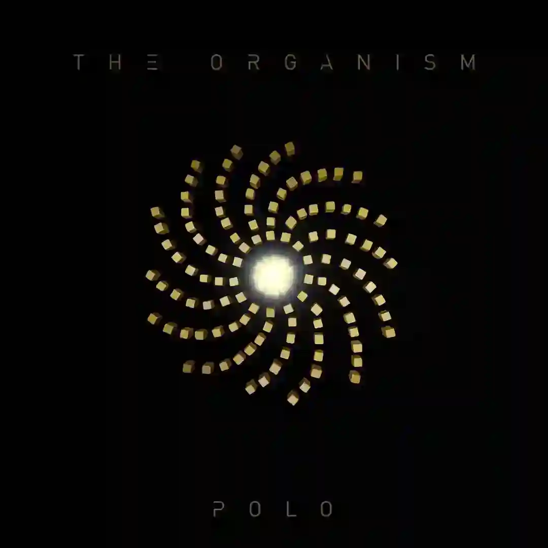 Polo (Original Mix) cover