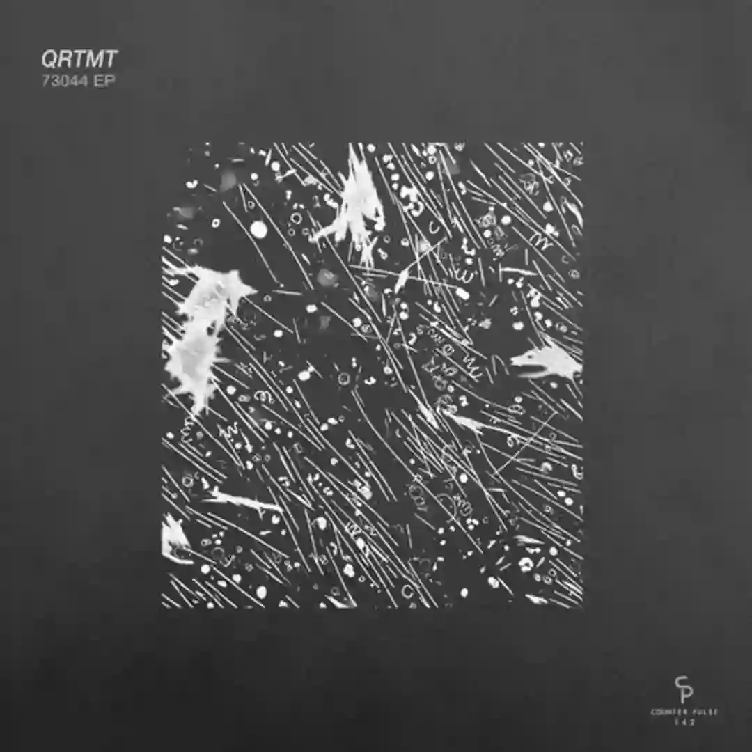 73044 (Original Mix) cover