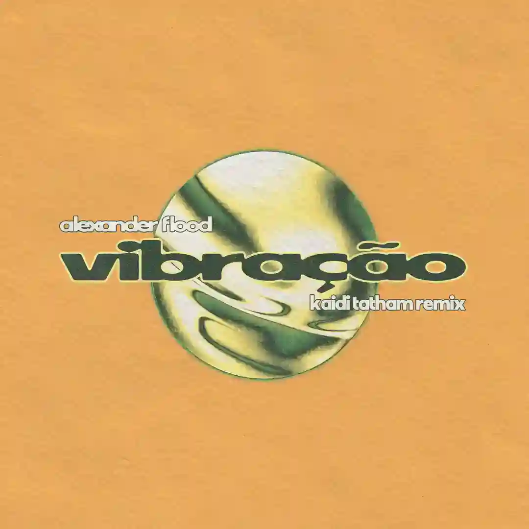 VIBRAÇÃO (Kaidi Tatham Remix) cover