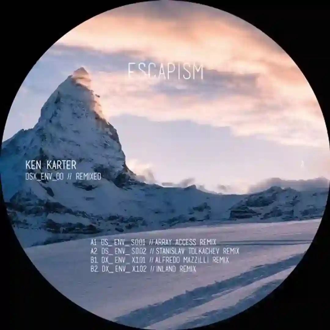 DSX_ENV_00 REMIXED cover