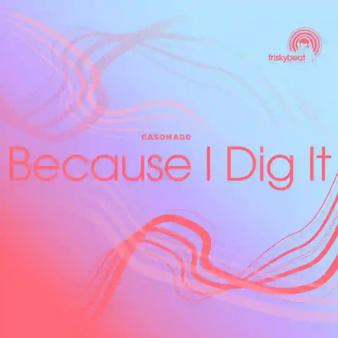 Because I Dig It (Luis Machuca Session Mix) cover