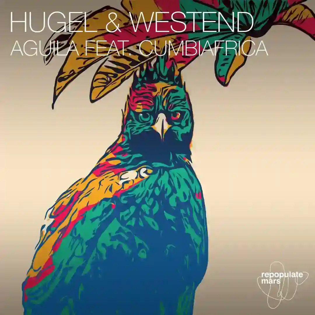 Aguila feat. Cumbiafrica (Original Mix) cover