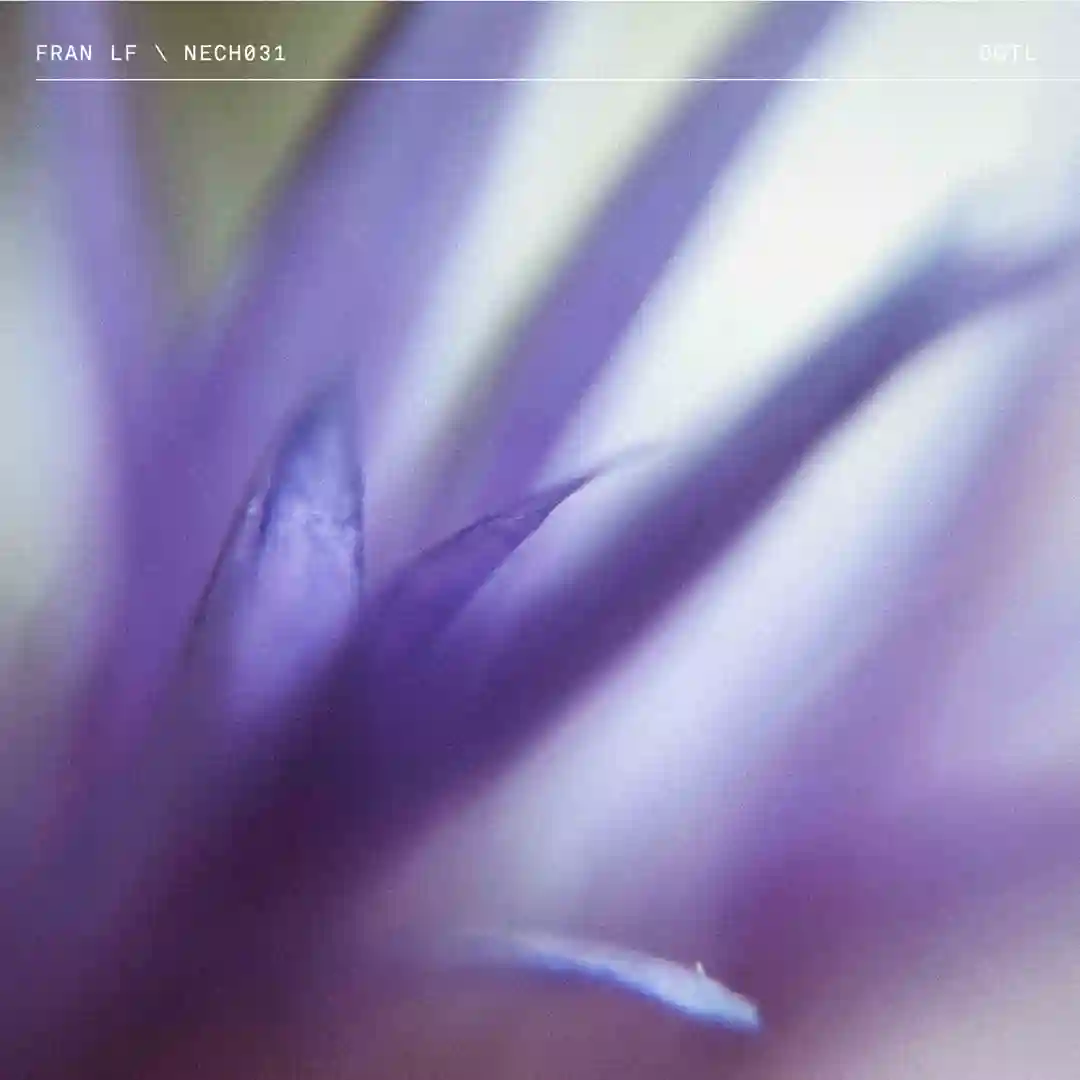 Mantis (Original Mix) cover