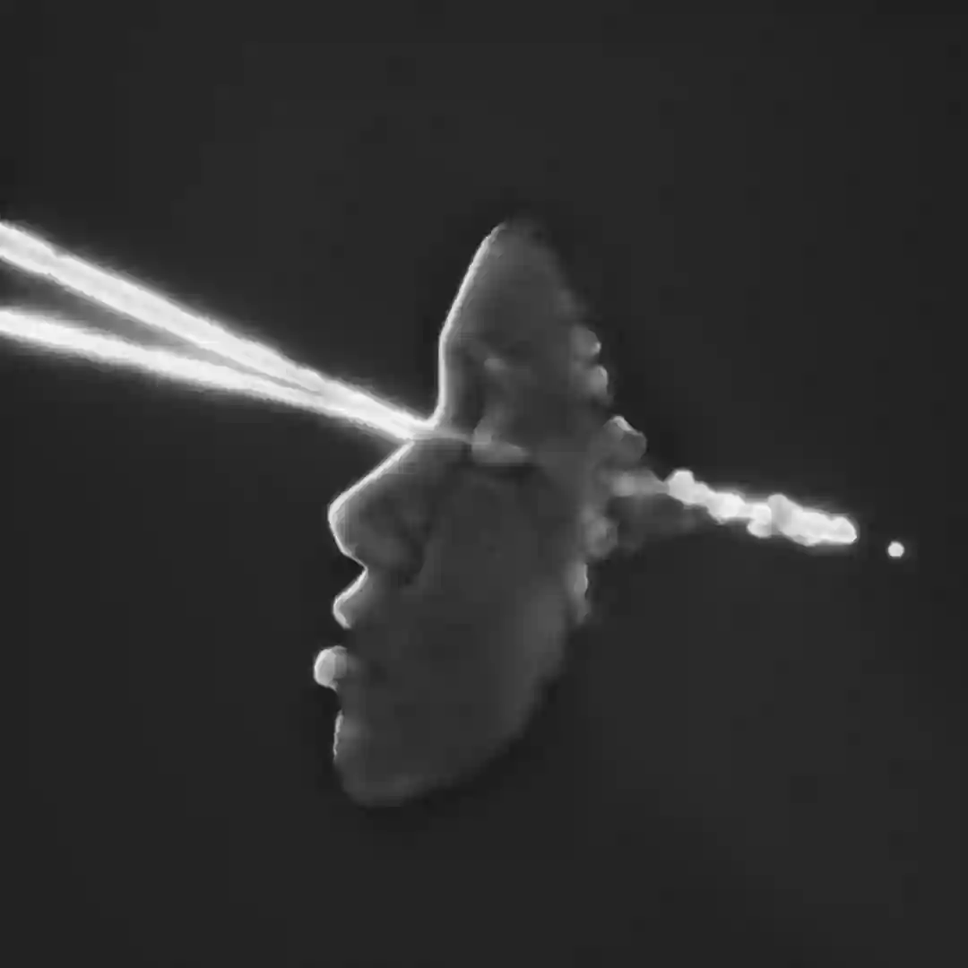 Shadow Wurk cover