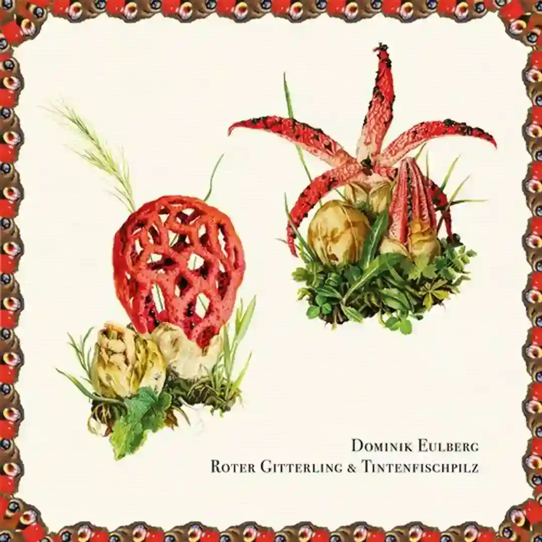 Roter Gitterling & Tintenfischpilz cover