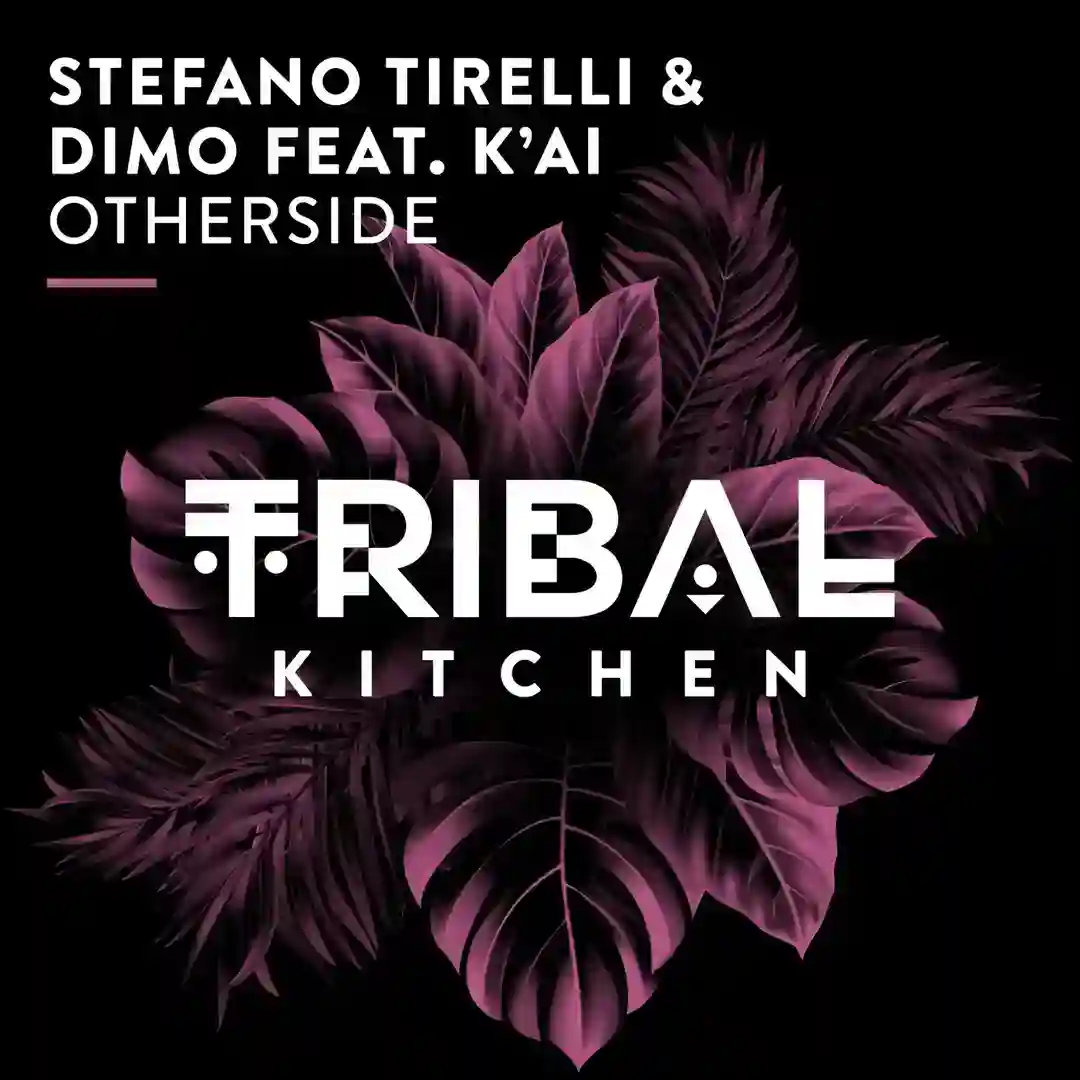 Otherside cover