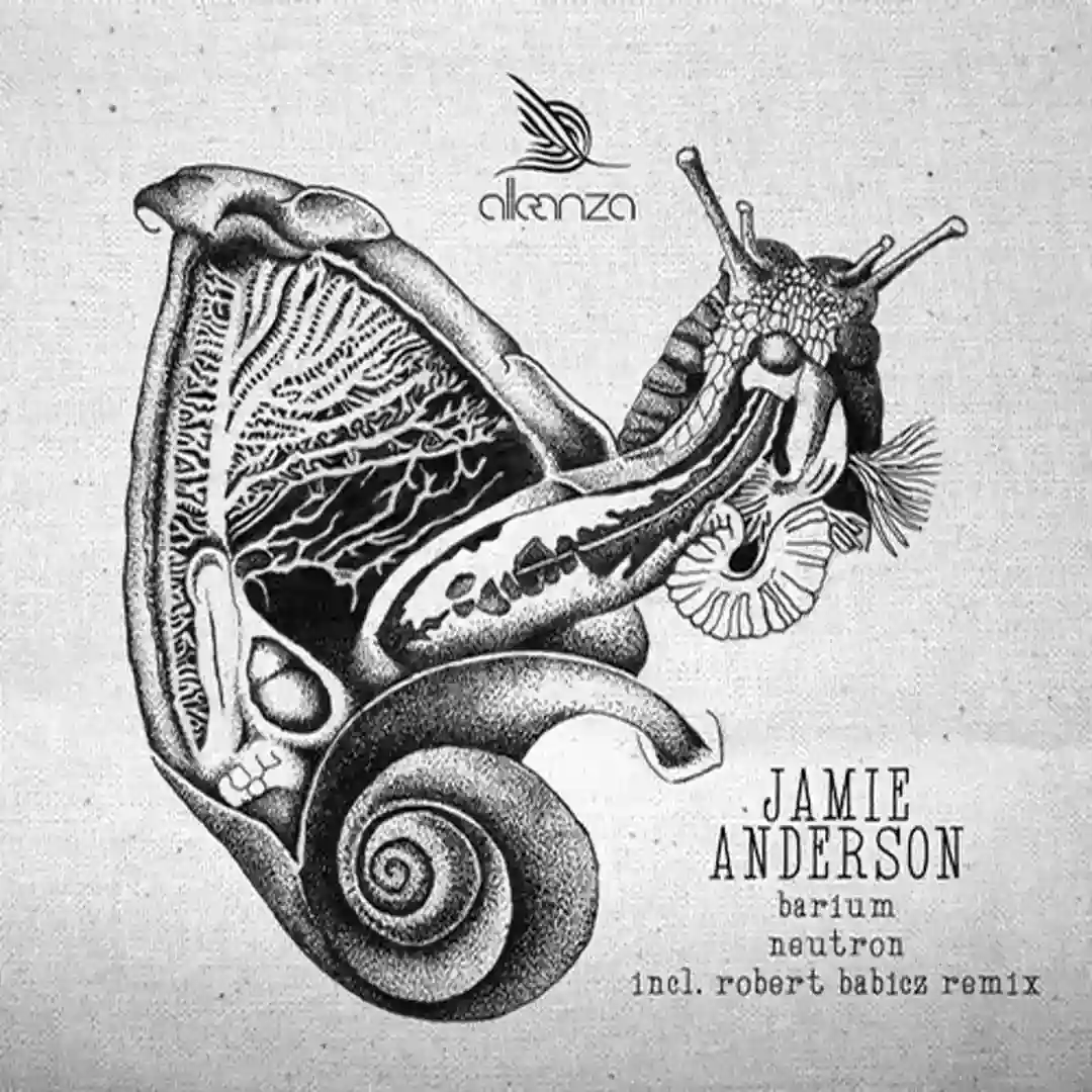 Barium (Robert Babicz Remix) cover