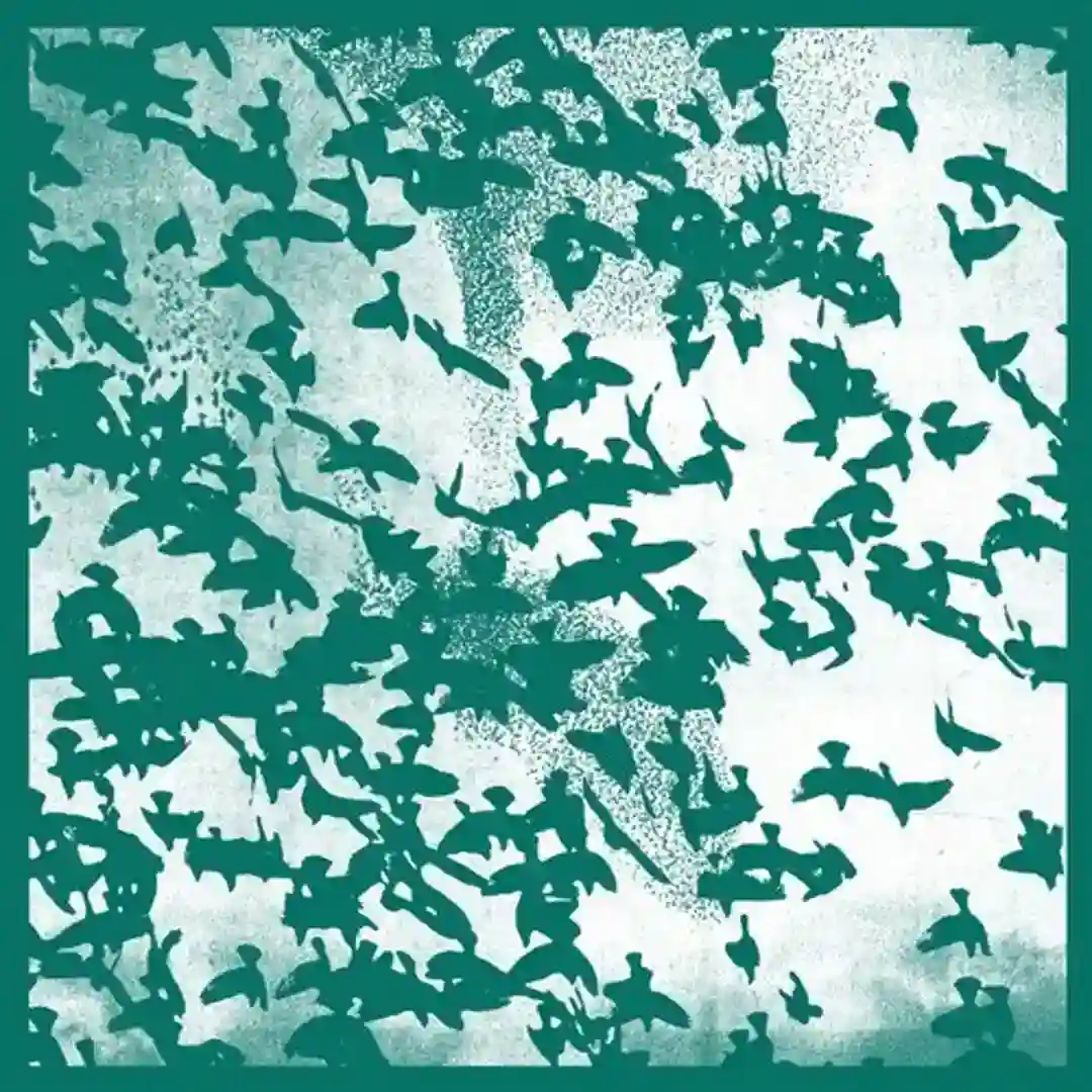 Murmuration cover