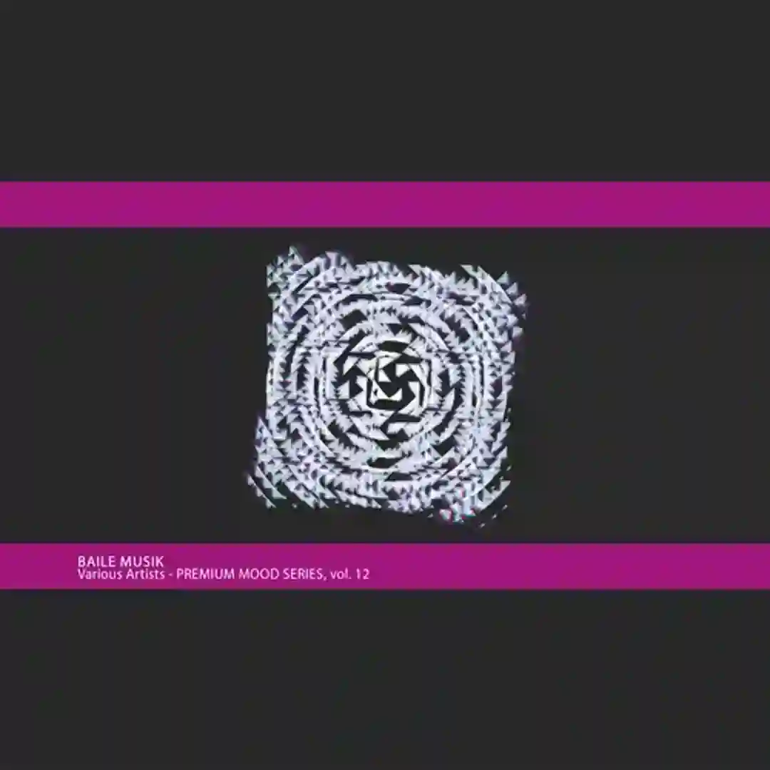 The Snatcher (Original Mix) cover