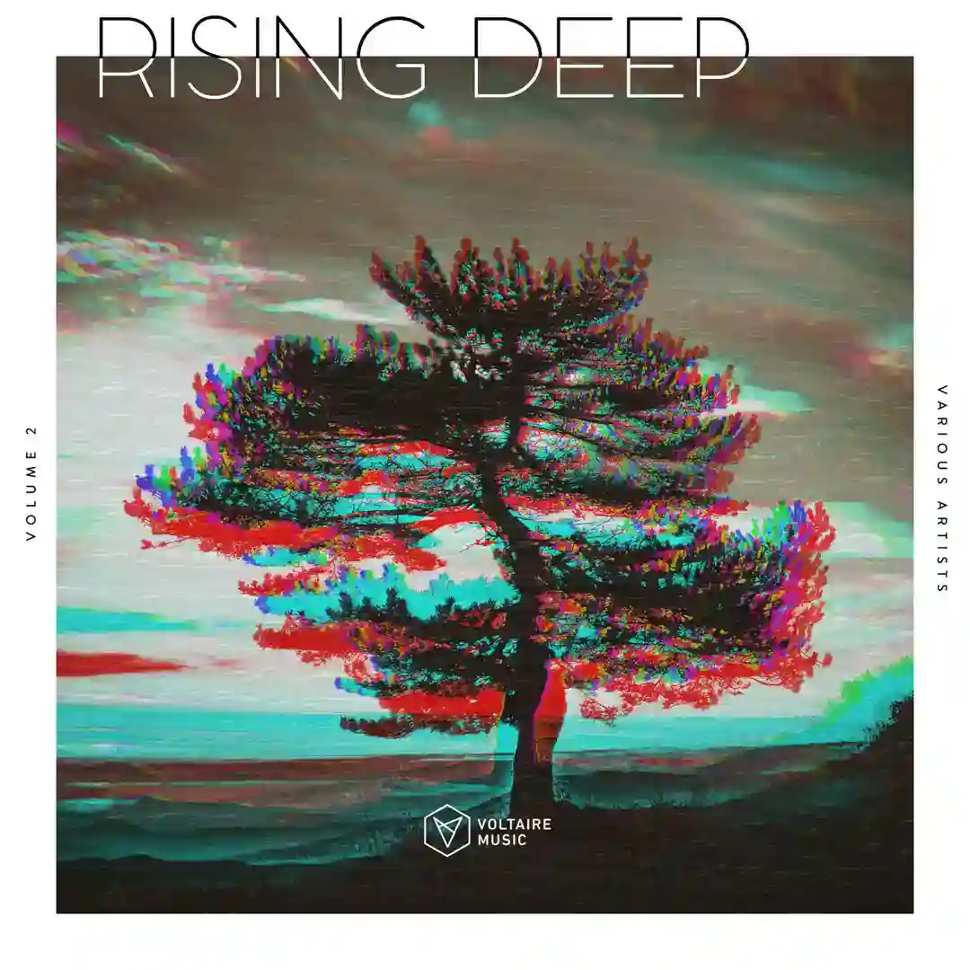 Damn! (Original Mix) cover