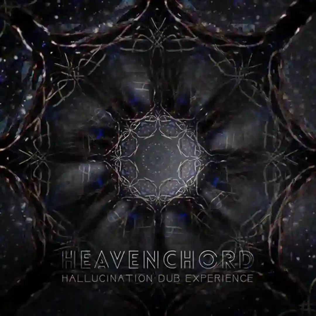 Hallucination Dub Experience cover