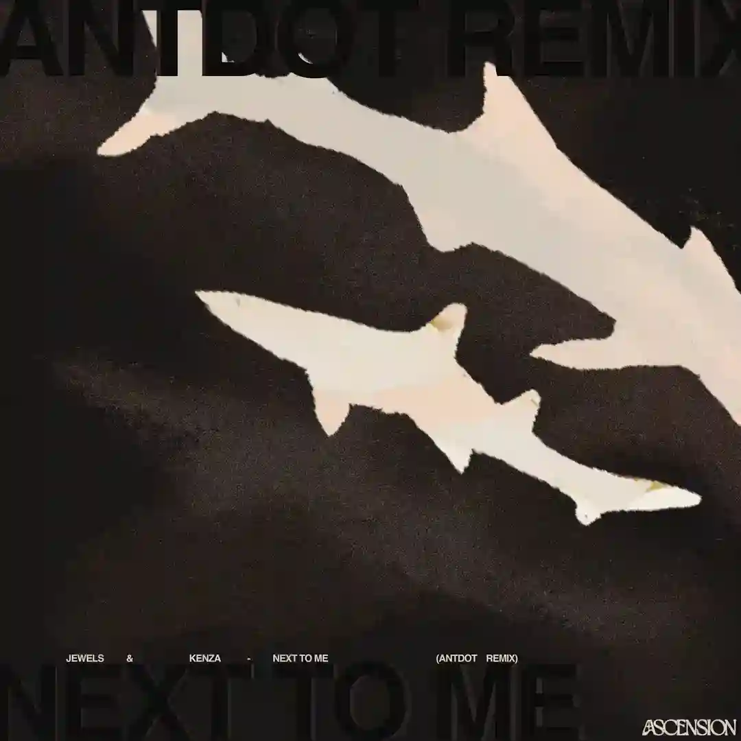 Next To Me (Antdot Remix) cover