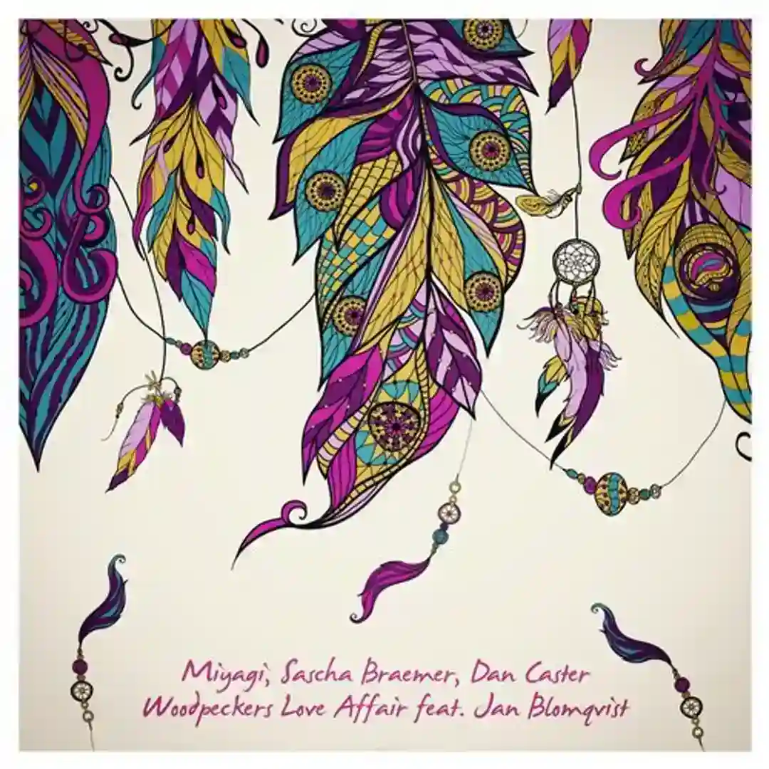 Woodpeckers Love Affair (Original Mix) cover