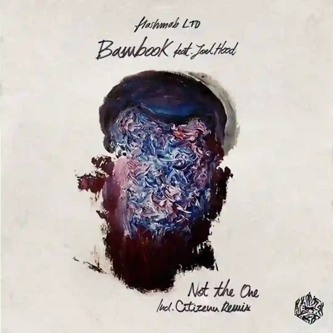 Not The One feat. Joel Hood (Original Mix) cover