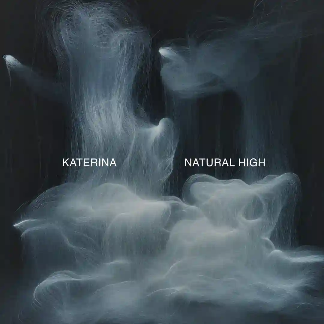 Natural High, Eternal Sunshine (Original Mix) cover