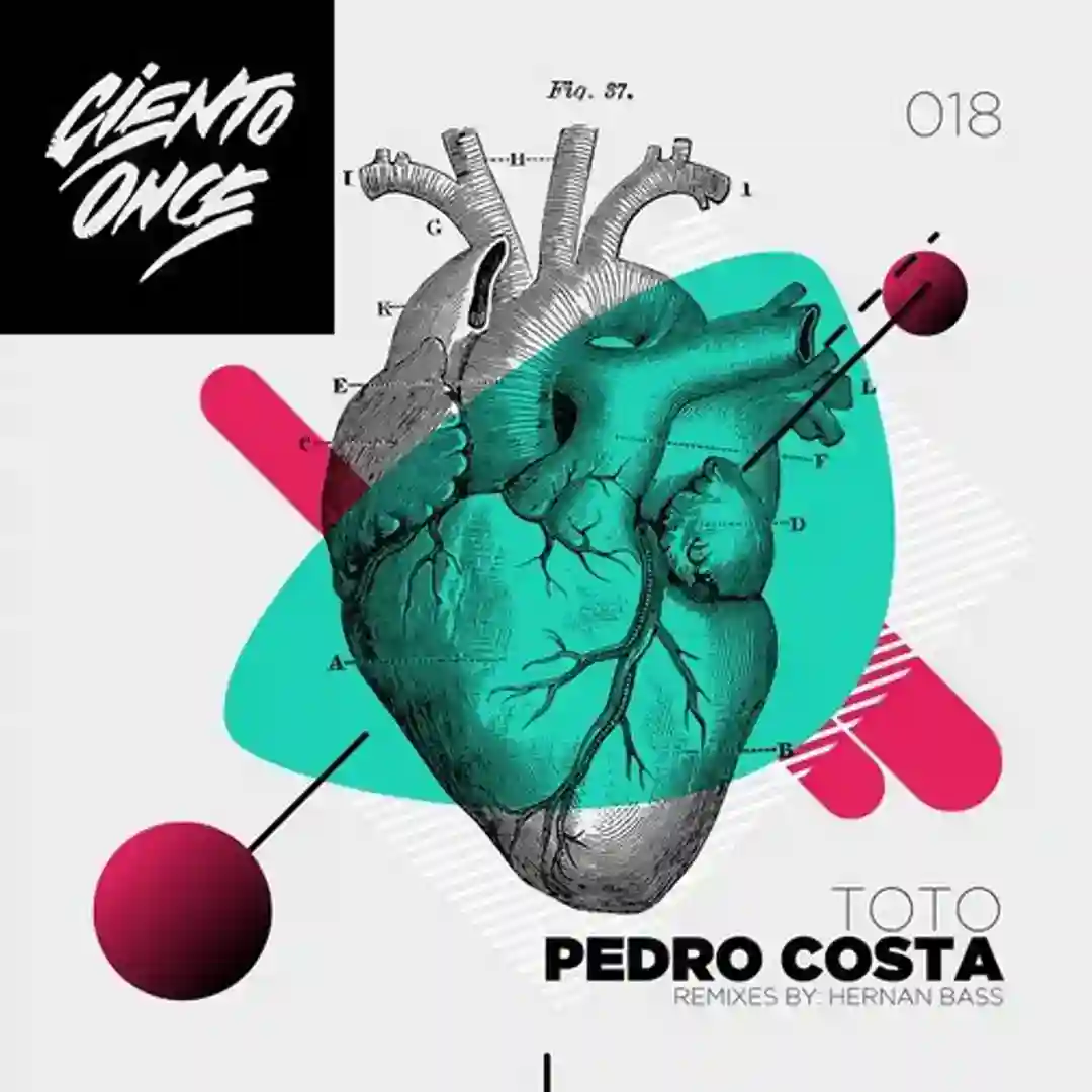Toto cover