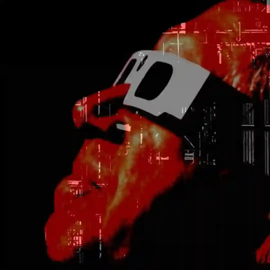 Distorted Signals cover