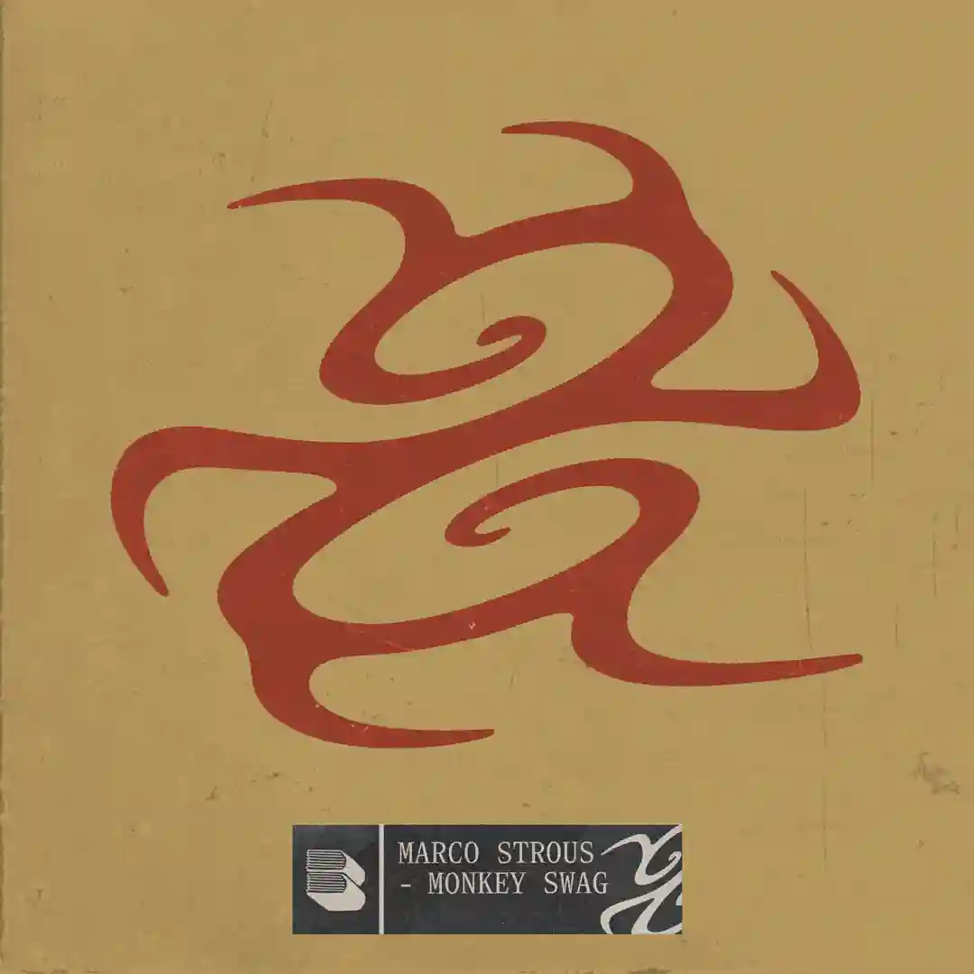 Monkey Swag (Extended Mix) cover