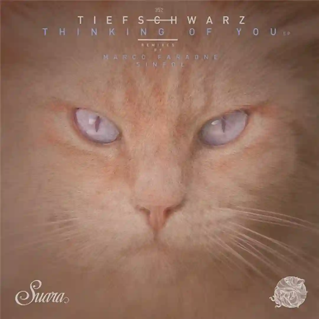 Some Thing (Marco Faraone Remix) cover