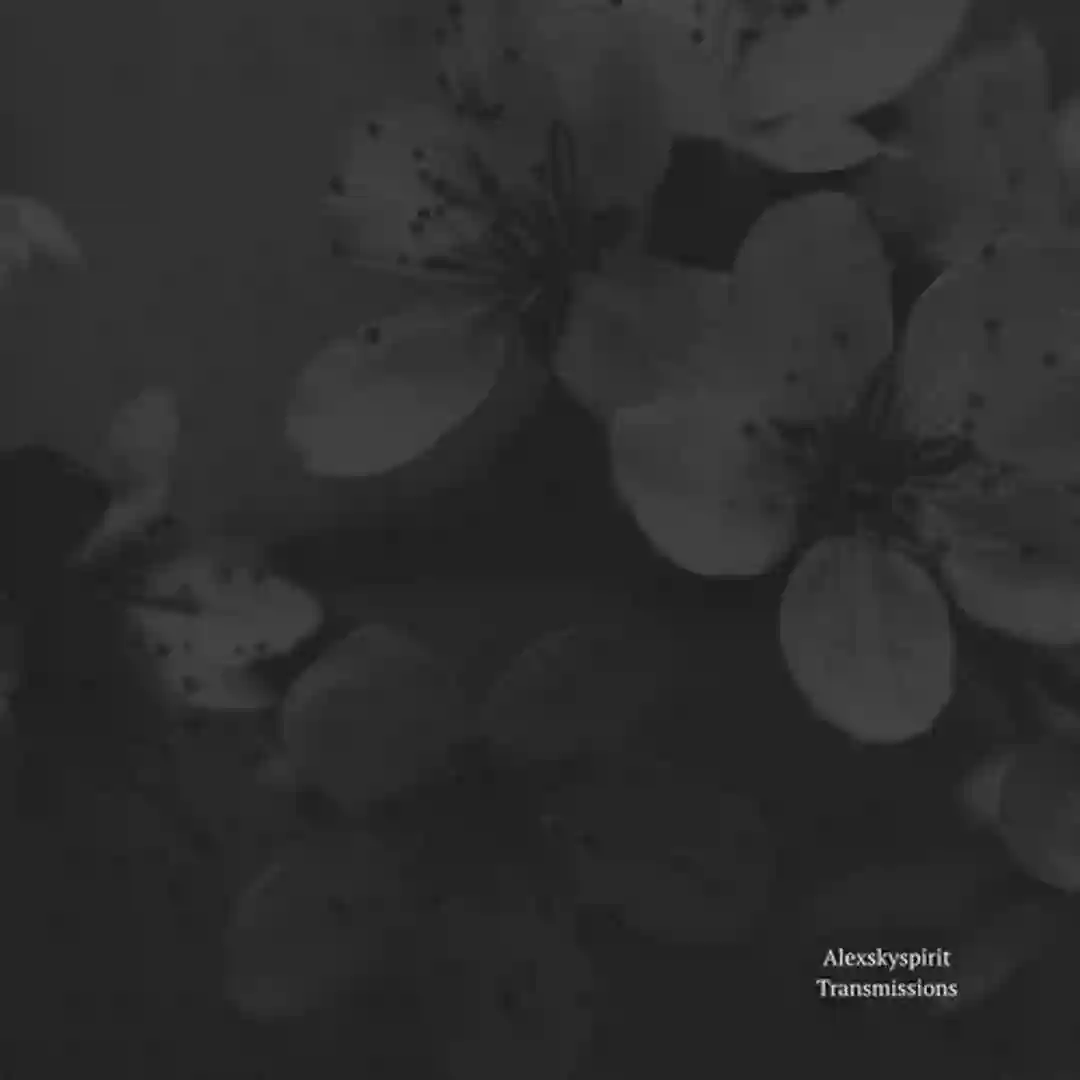 Transmission #3 (Original Mix) cover