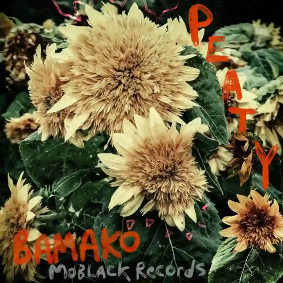 Bamako cover