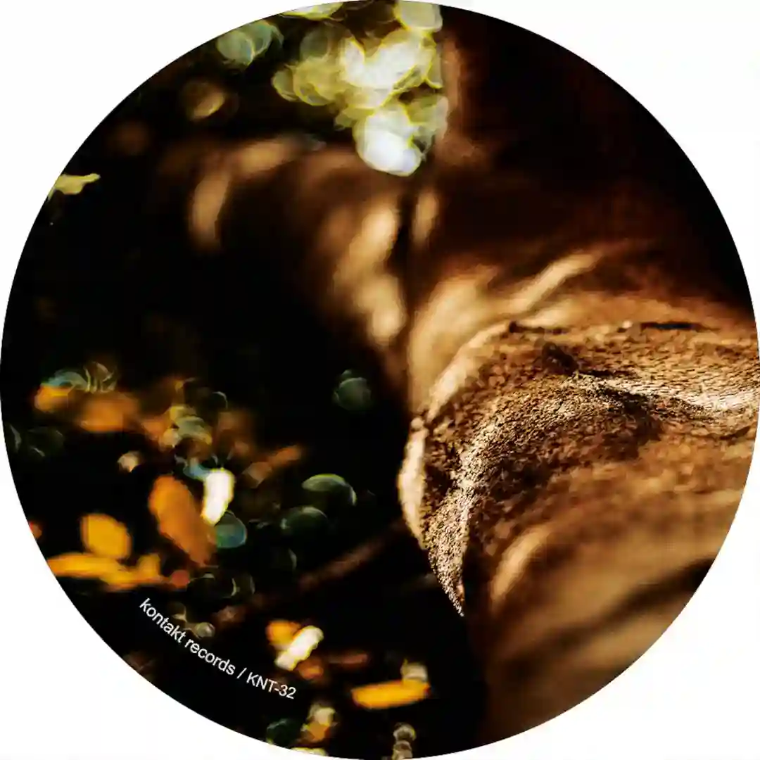 Don't Look for Me feat. Milly James (Original Mix) cover