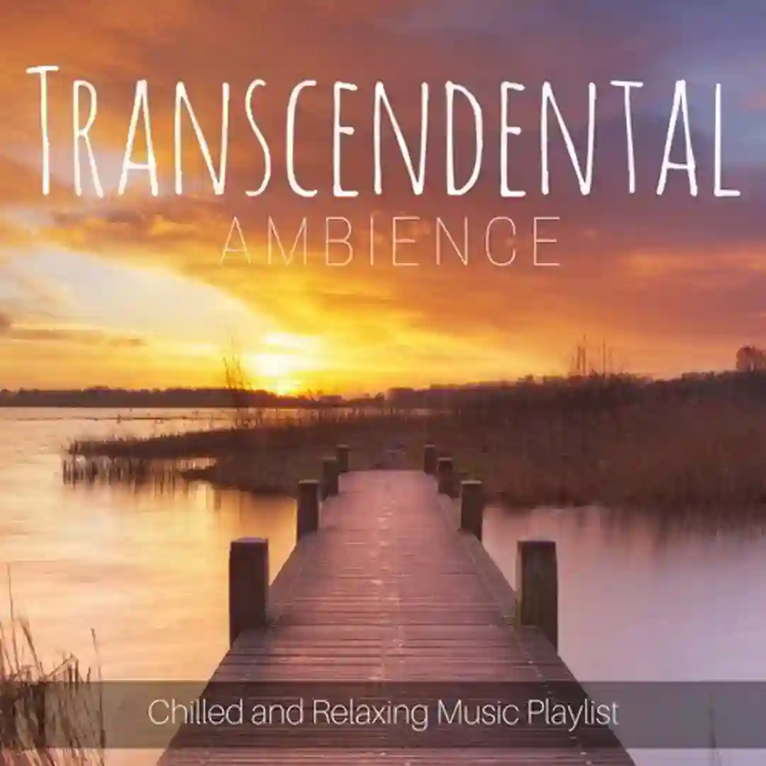 Follow Me (Original Mix) cover