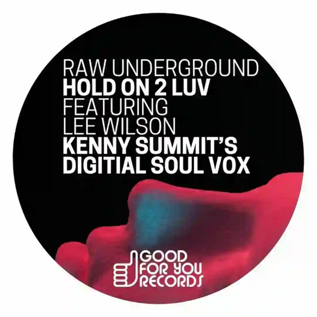 Hold On 2 Luv (Kenny Summit's Digital Soul Vox) cover