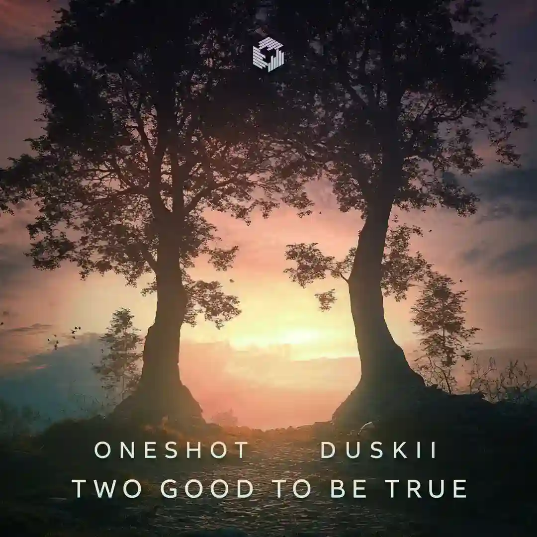 Two Good to Be True cover