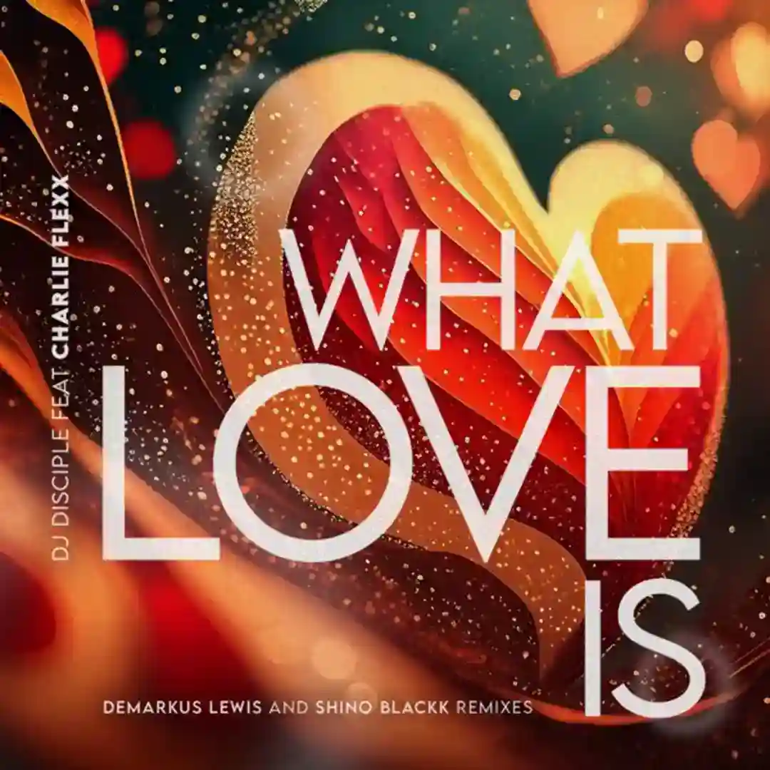 What Love Is... (Blackkz Rubba Dub Remix) cover