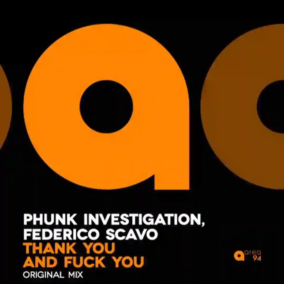 Thank You And Fuck You (Original Mix) cover