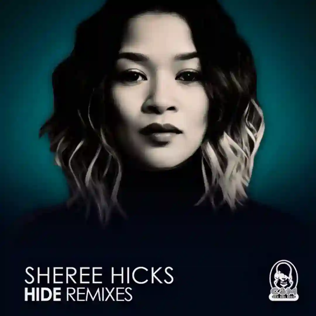 Hide (Wipe The Needle & Venuz Beats Remix) cover