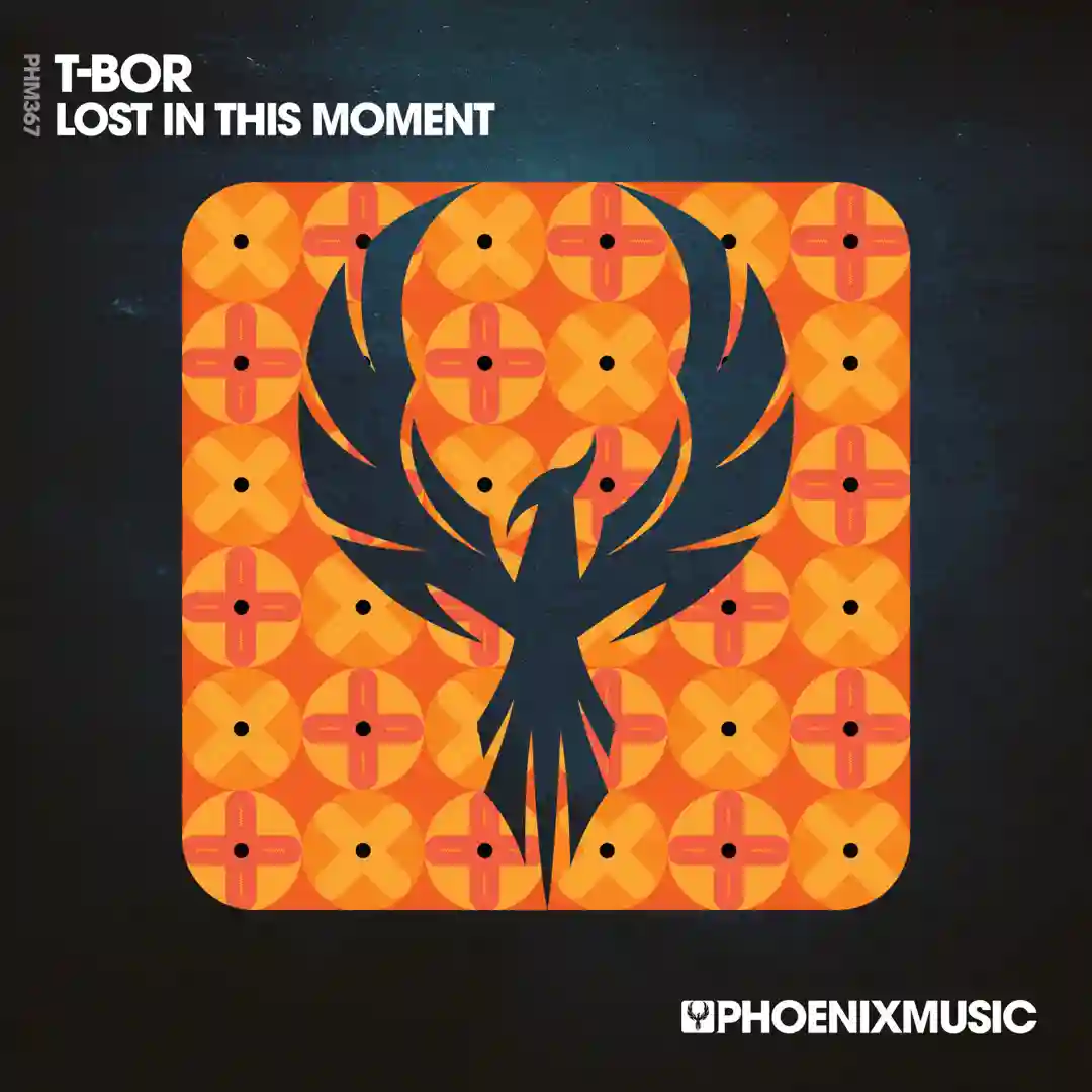 Lost In This Moment cover