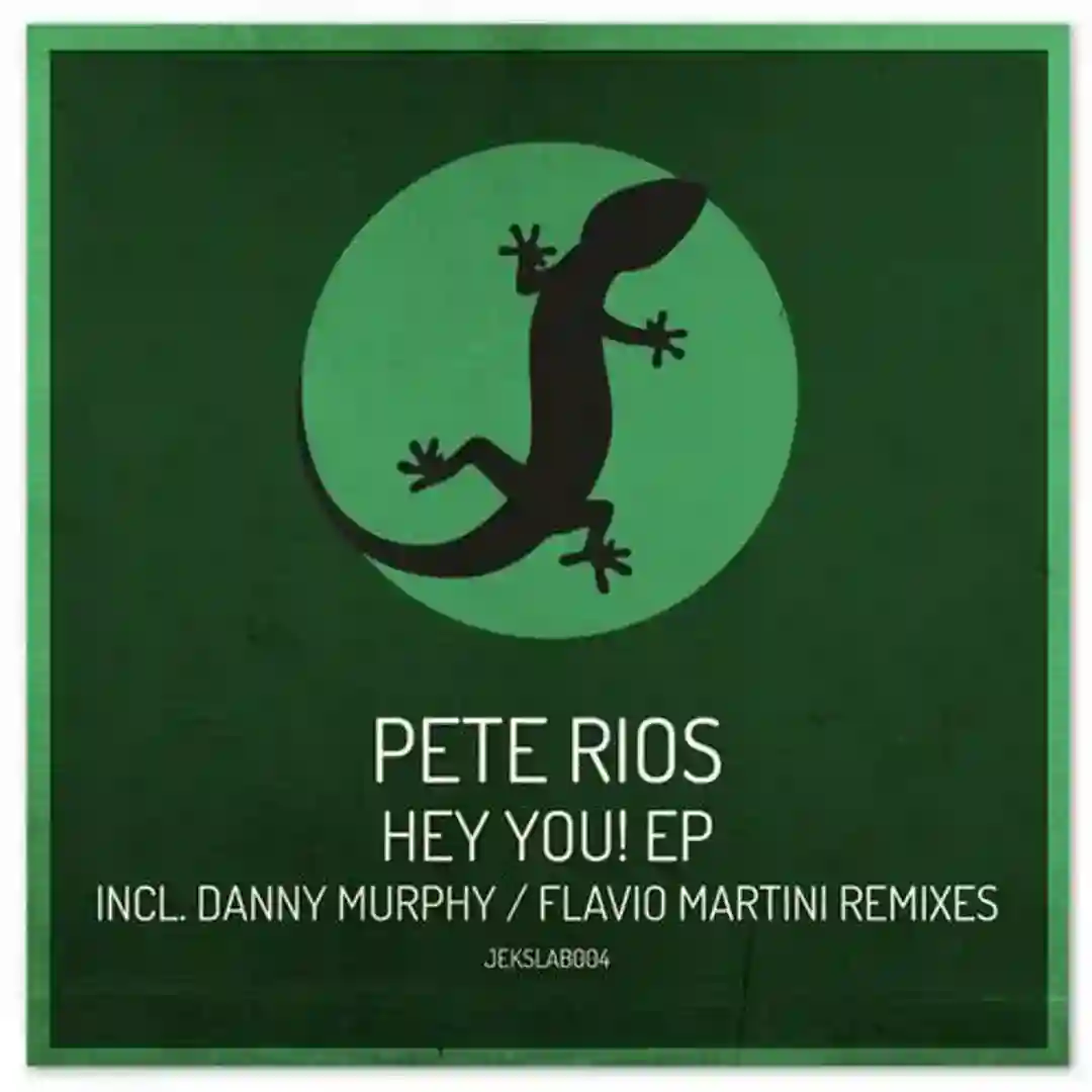 Hey You! (Flavio Martini Remix) cover