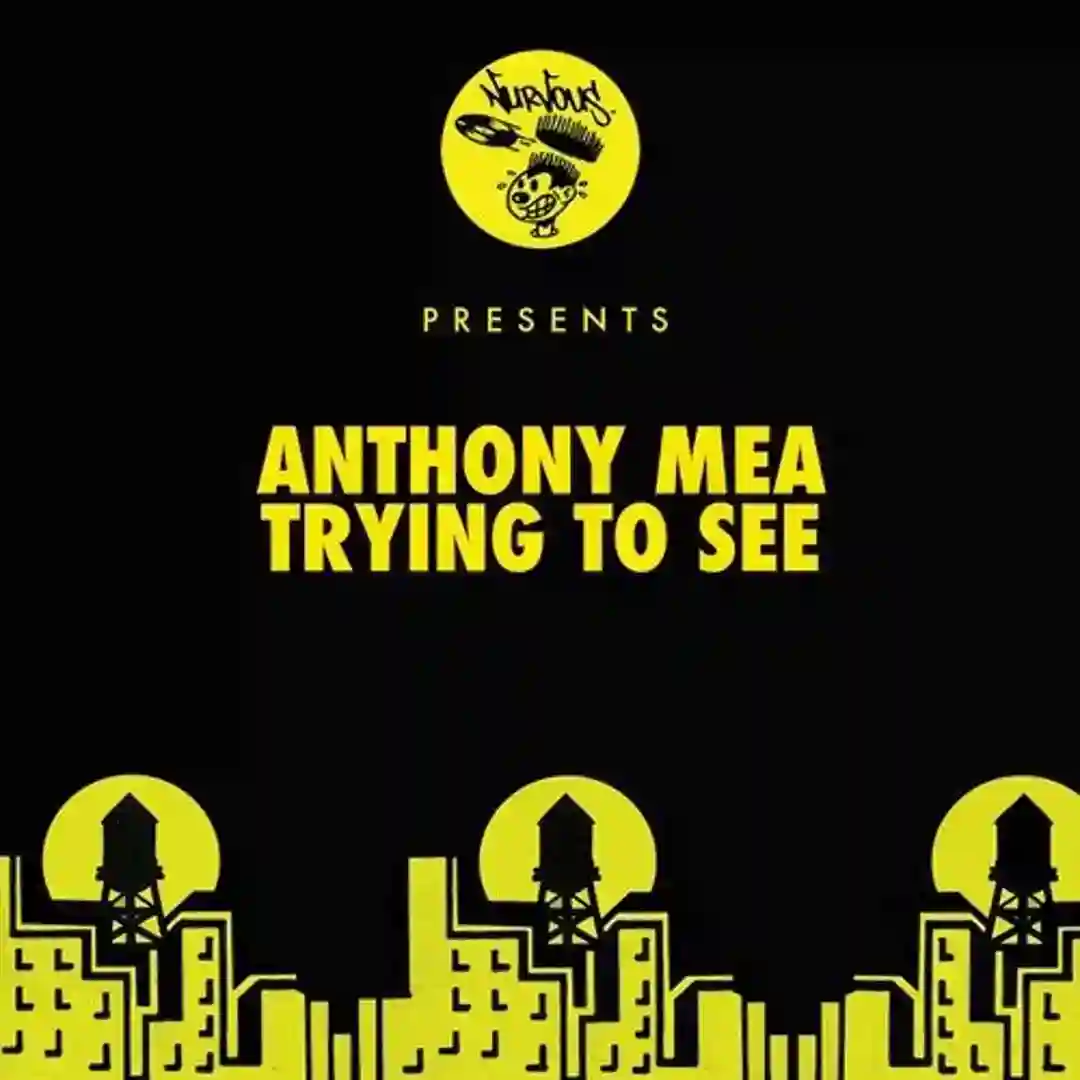 Trying To See cover