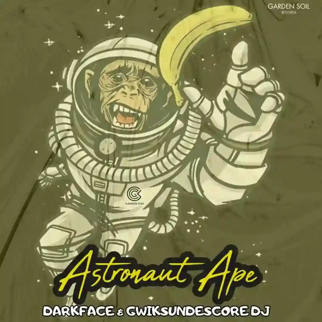 Astronaut Ape cover
