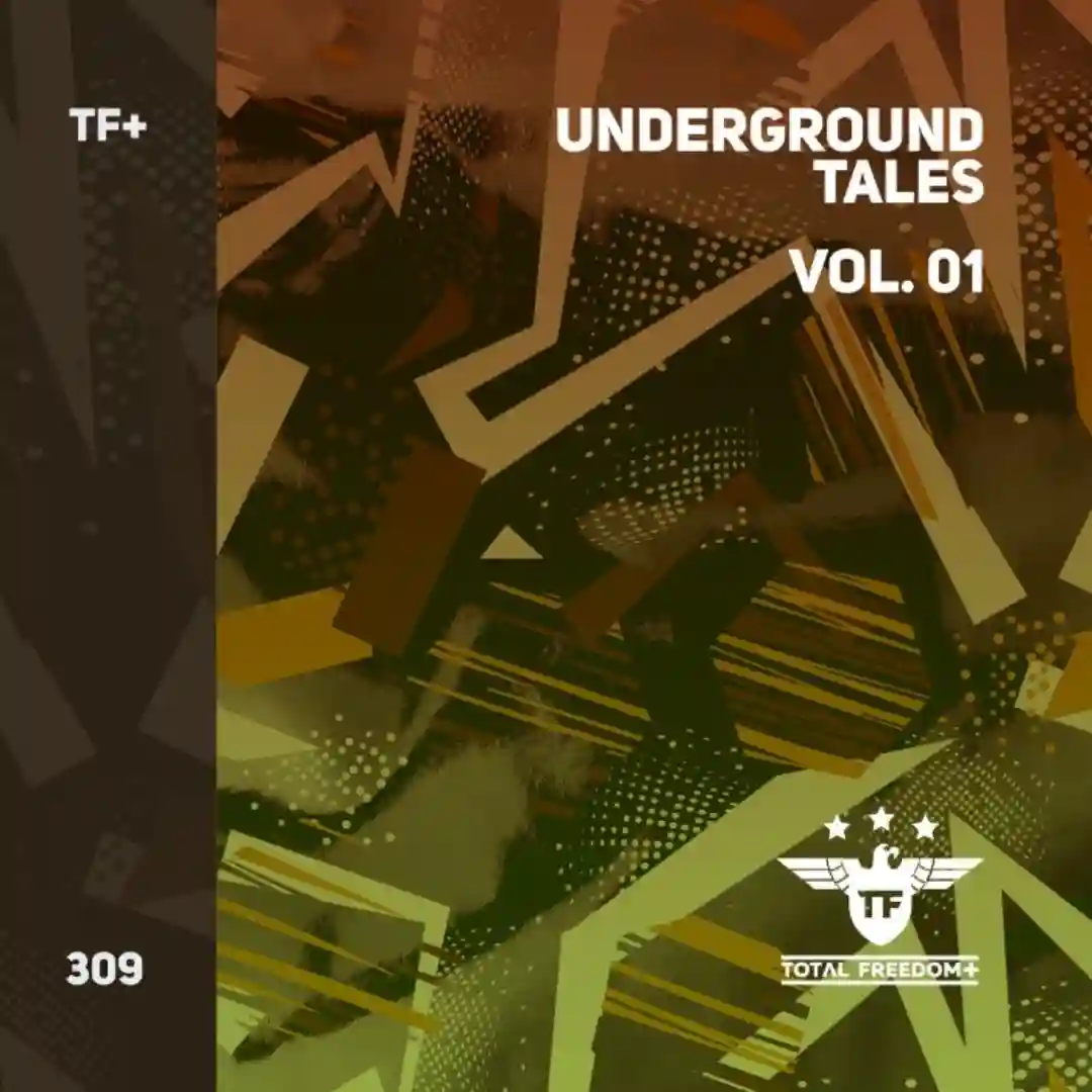 The Future (Extended Mix) cover