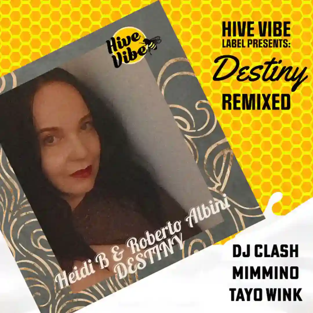 Destiny (Mimmino Remix) cover
