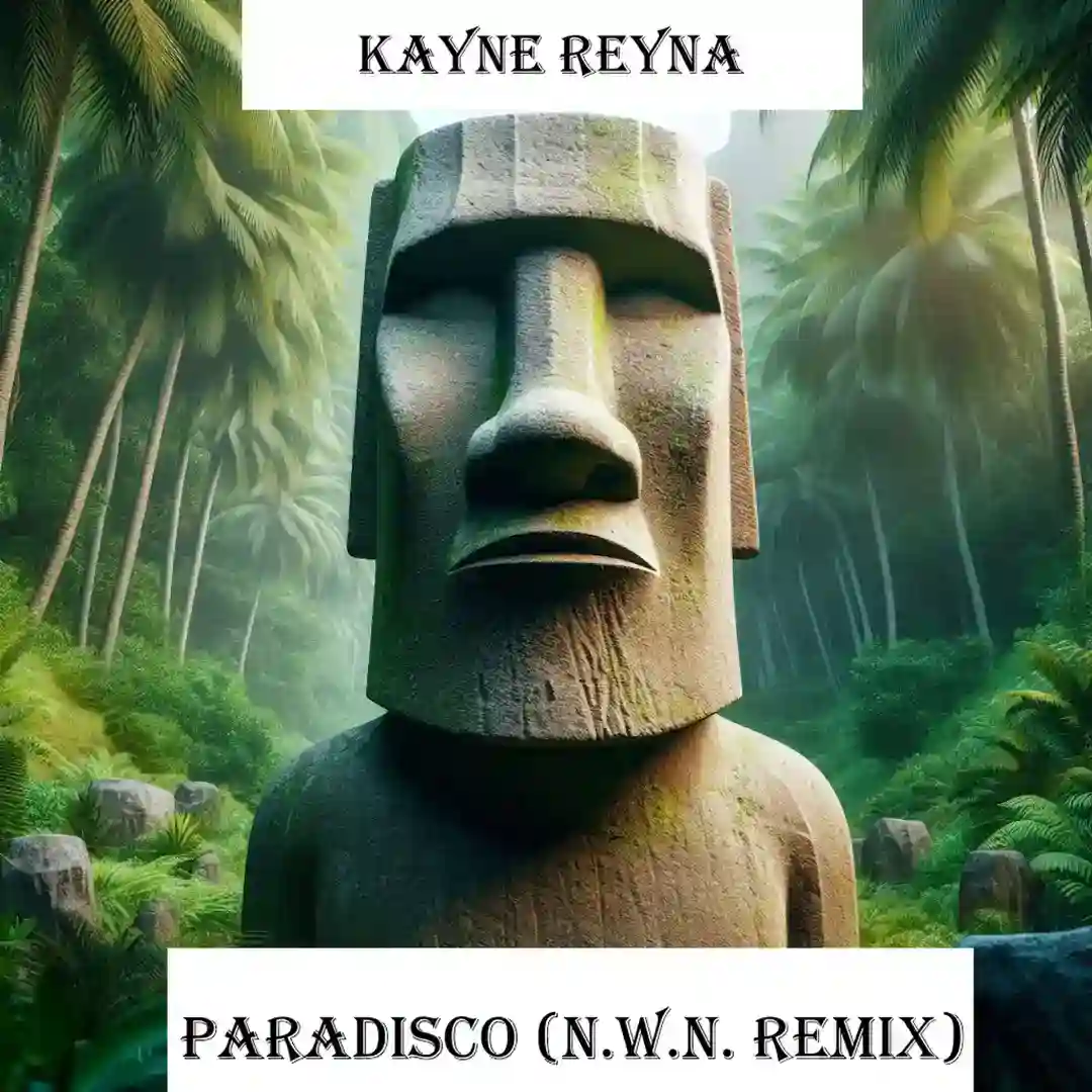 Paradisco (N.W.N. Remix) cover