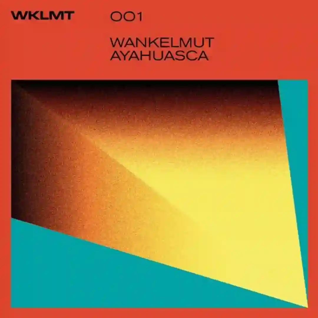 Ayahuasca cover