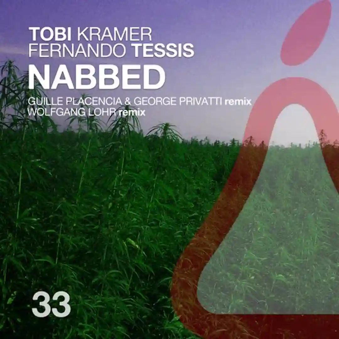 Nabbed (Wolfgang Lohr Remix) cover