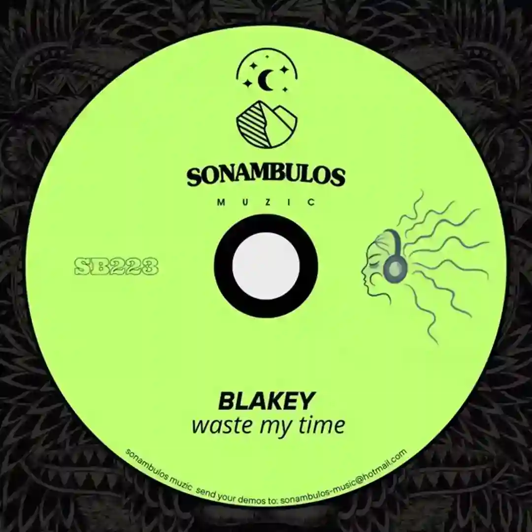 Waste My Time (Original Mix) cover
