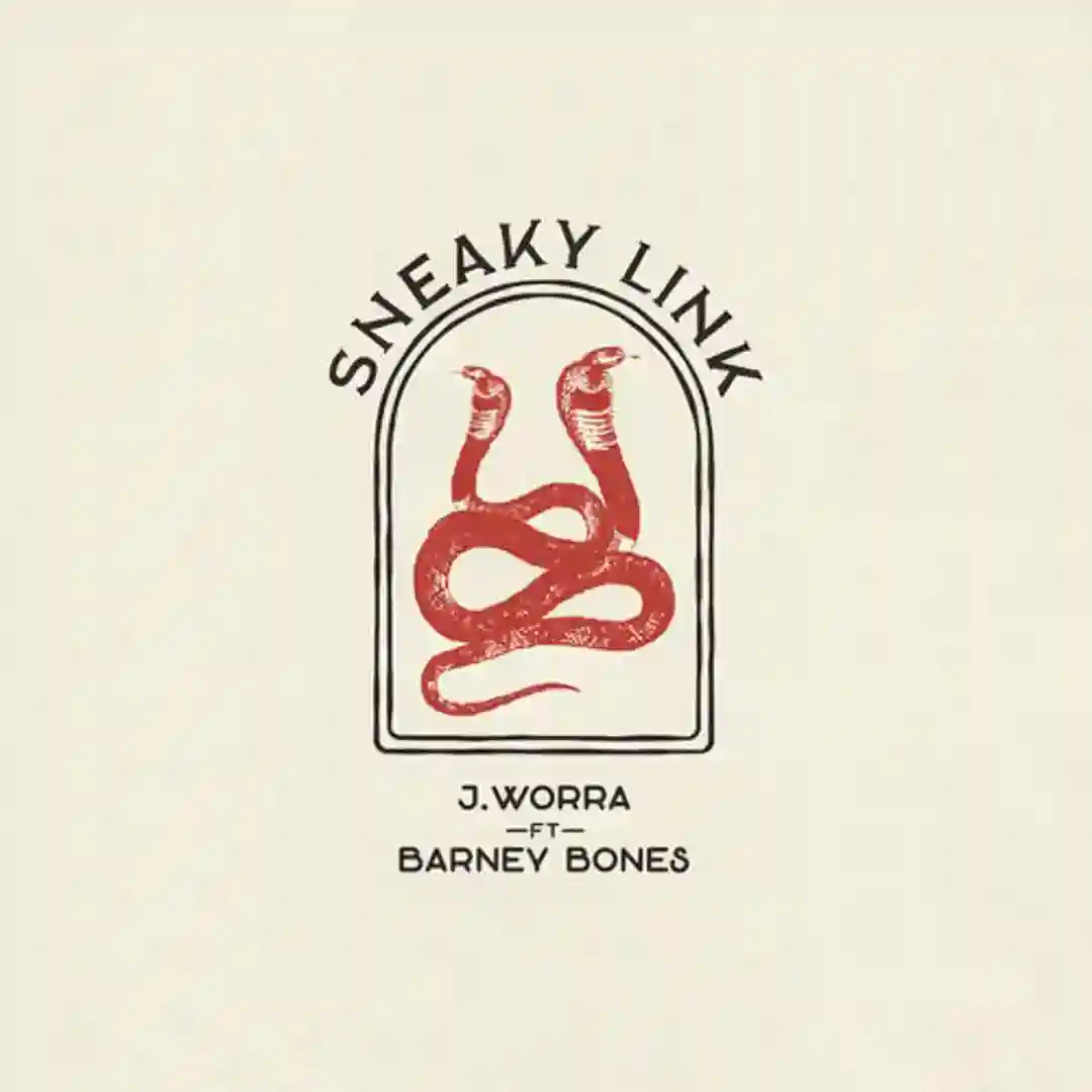 Sneaky Link (Extended Mix) cover