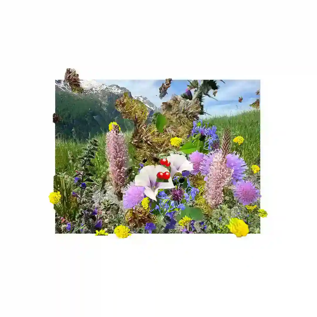 Ultravirulance cover