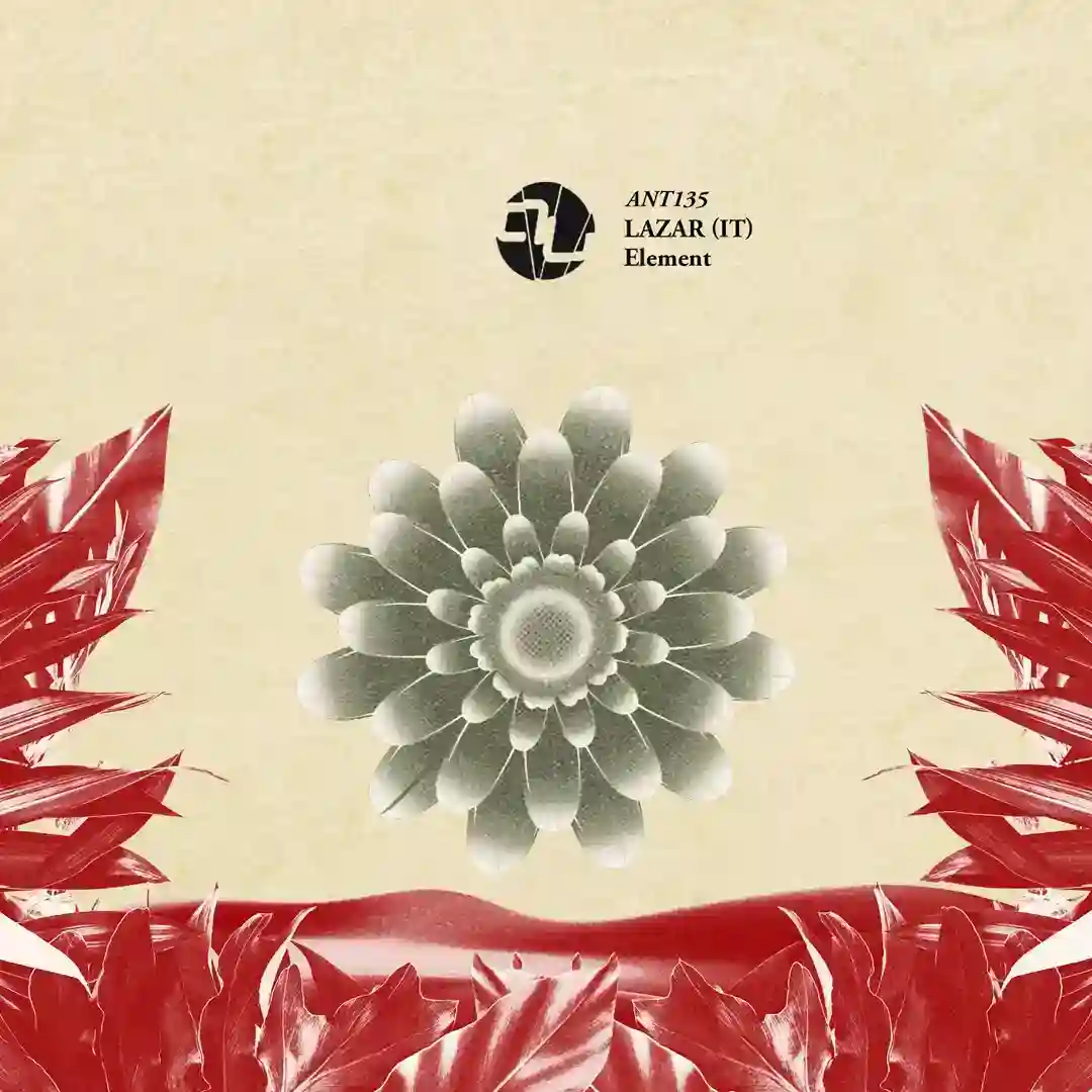 Deceptive (Original Mix) cover
