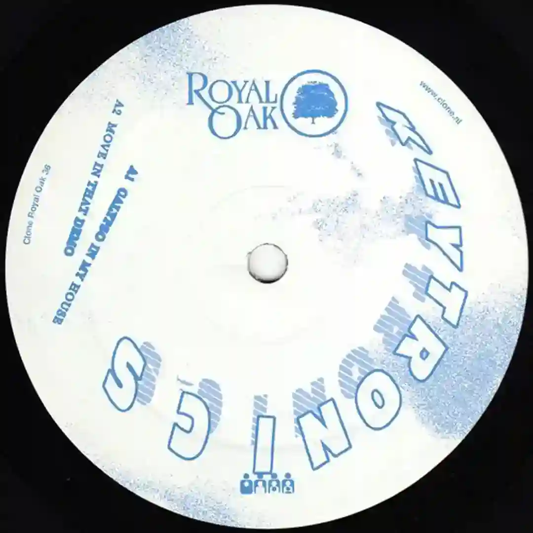 Something in That Groove (Original Mix) cover