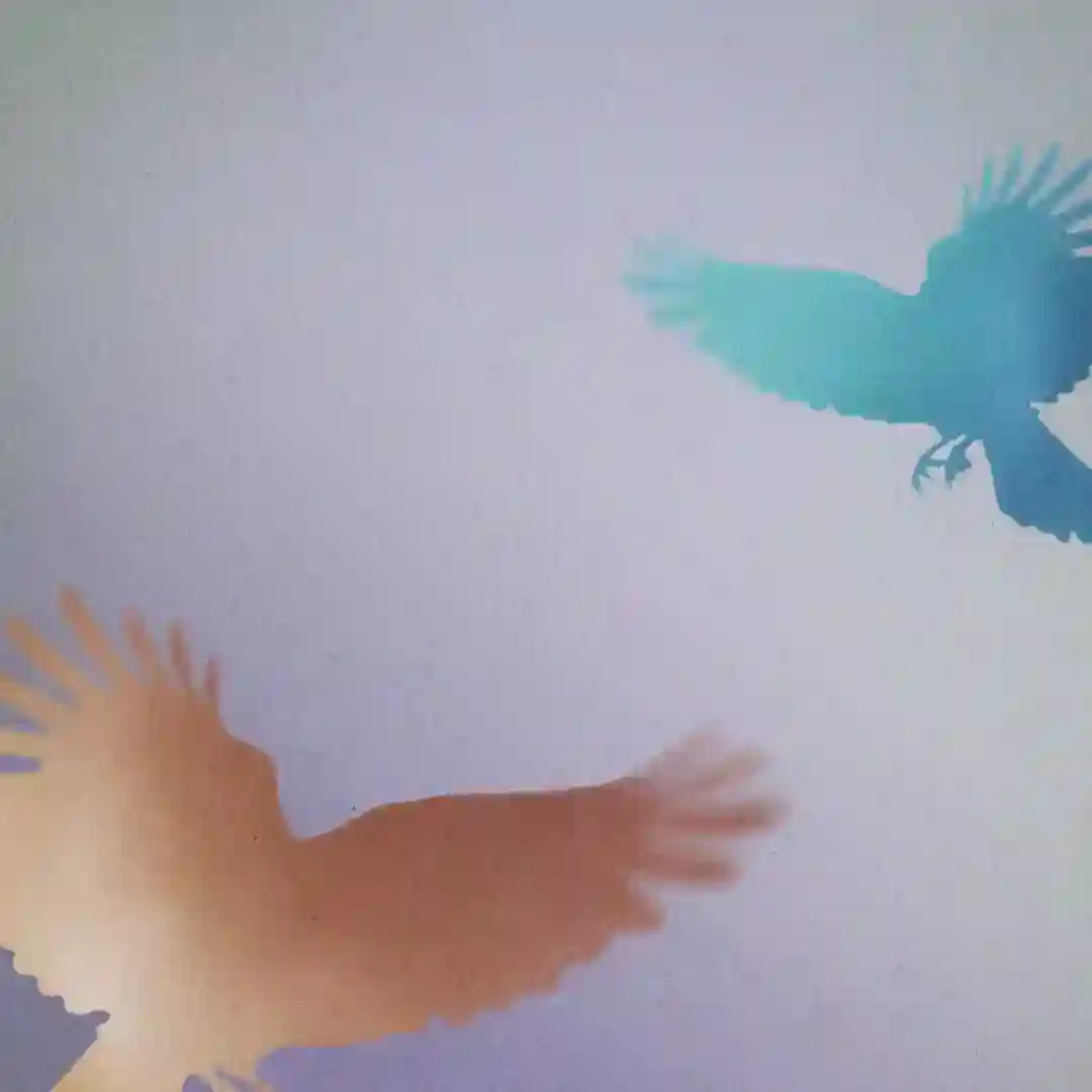 Places cover