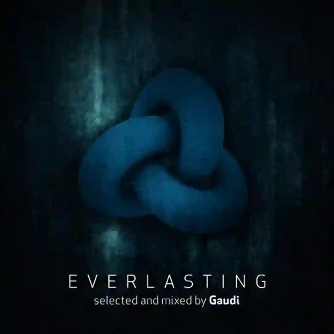 Meandering Through the Emerald Turf (Gaudi Remix) cover