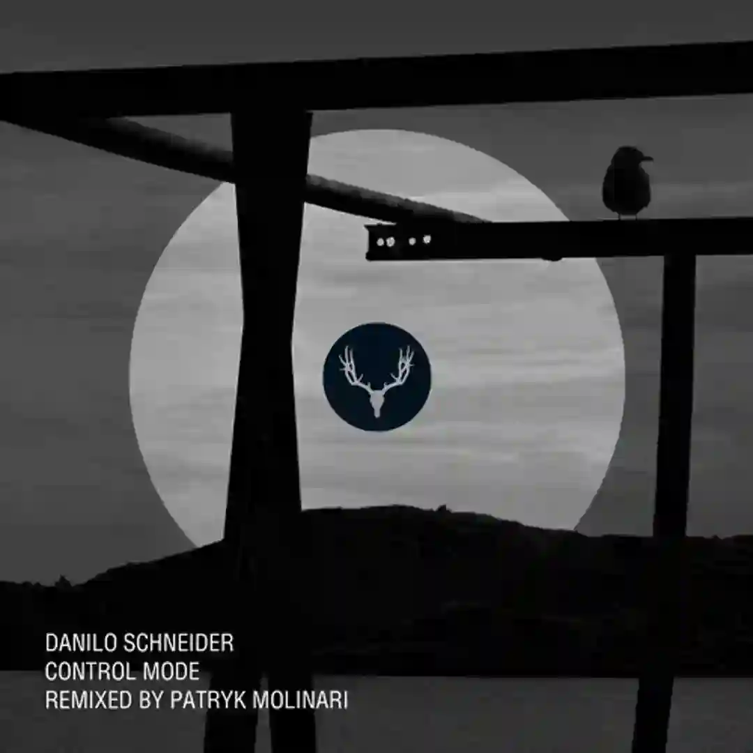 Luvua (Patryk Molinari Remix) cover